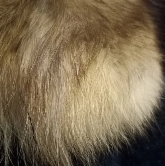 Vintage Blue Winter Jacket XL - Picture 2 of 6